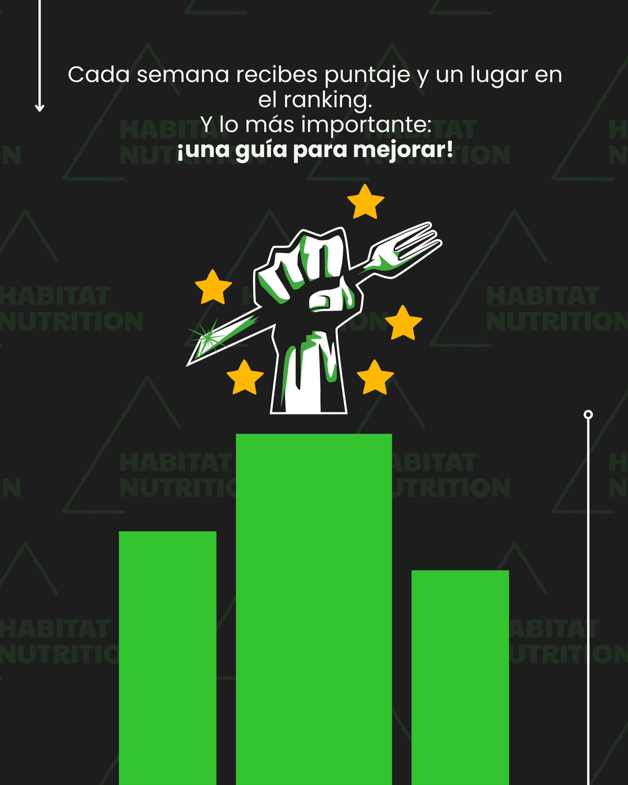 Paso 6